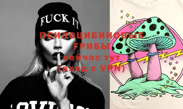 спиды Верея