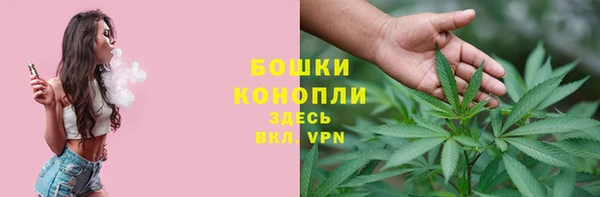 спиды Верея