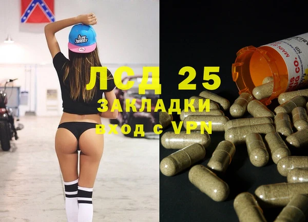 спиды Верея