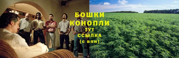 трава Верхнеуральск