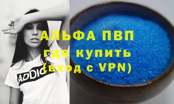 спиды Верея
