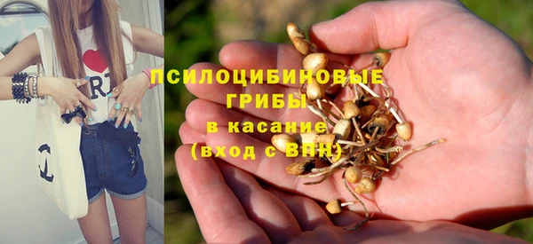 трава Верхнеуральск