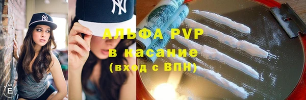 спиды Верея